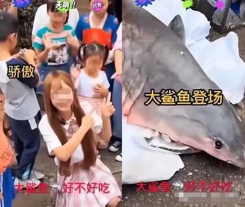 白鲨爆料比赛视频完整版,比赛视频完整版深度解析 第2张 白鲨爆料比赛视频完整版,比赛视频完整版深度解析 第2张