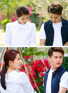 淘婚记全集在线观看,浪漫婚恋之旅，笑中带泪的甜蜜回忆  第2张