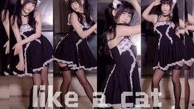 女团韩舞爆料视频  第3张